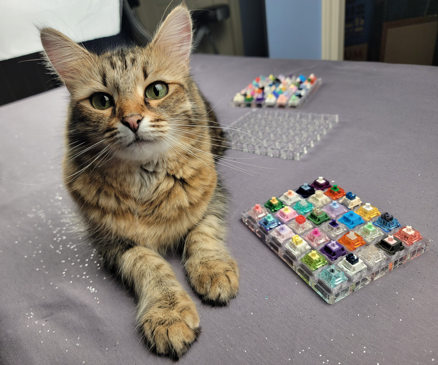 Custom Switch Tester